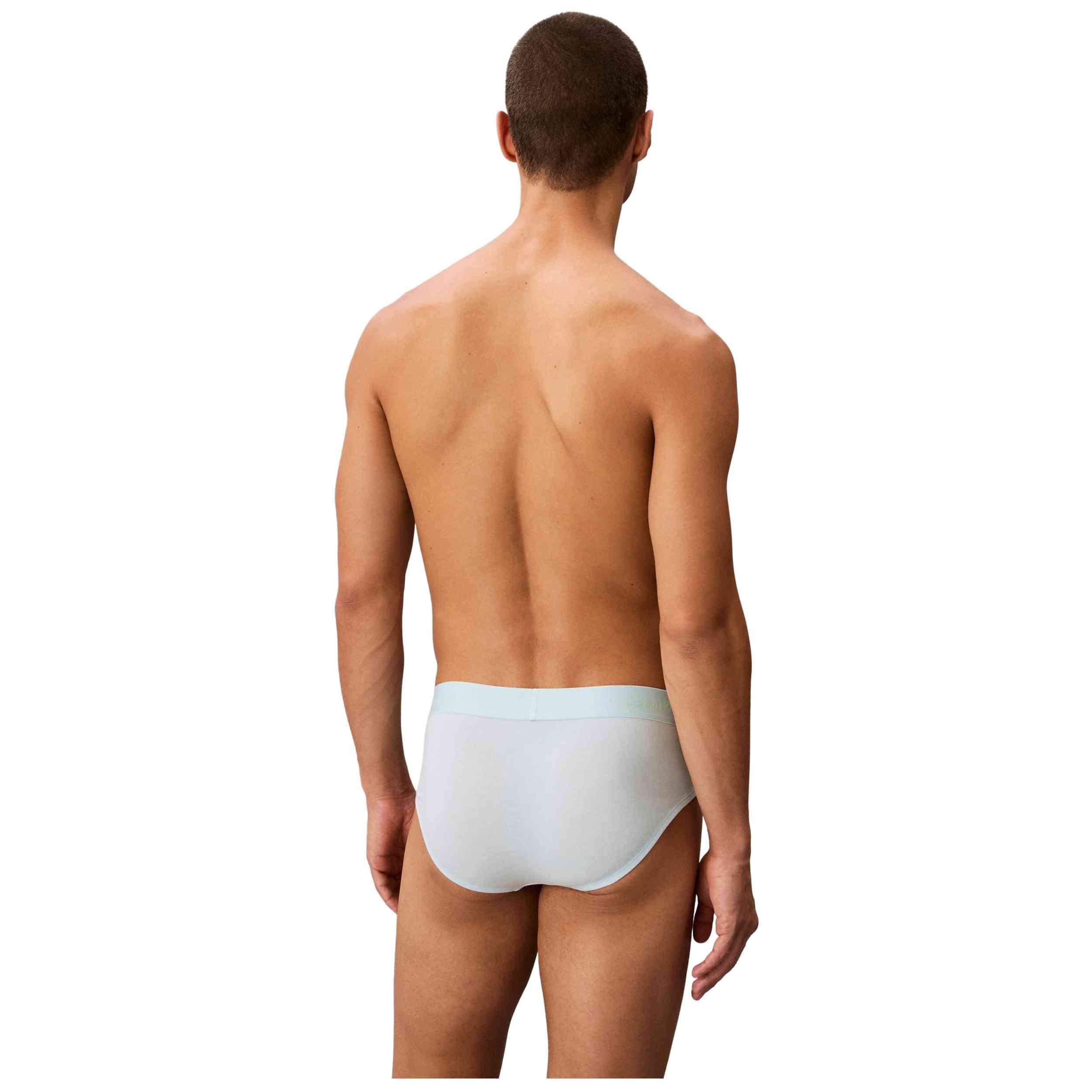 Imagen del producto con referencia 065003100001