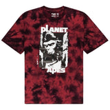 Camiseta De Manga Corta Element Pota Surge Flint Black
