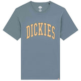 Camiseta De Manga Corta Dickies Aitkin