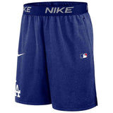 Pantalon Corto Nike