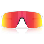 Imagen del producto con referencia 0OO9496-949602