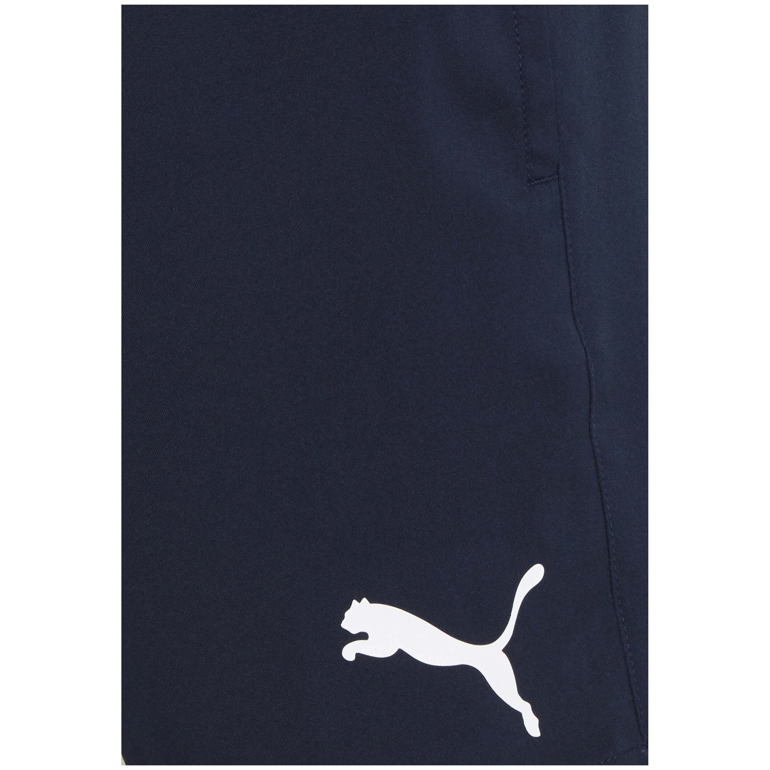 Pantalon Corto Puma 100002245-001