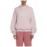 Sudadera Con Capucha Reebok Classic Archive Essentials Big Logo