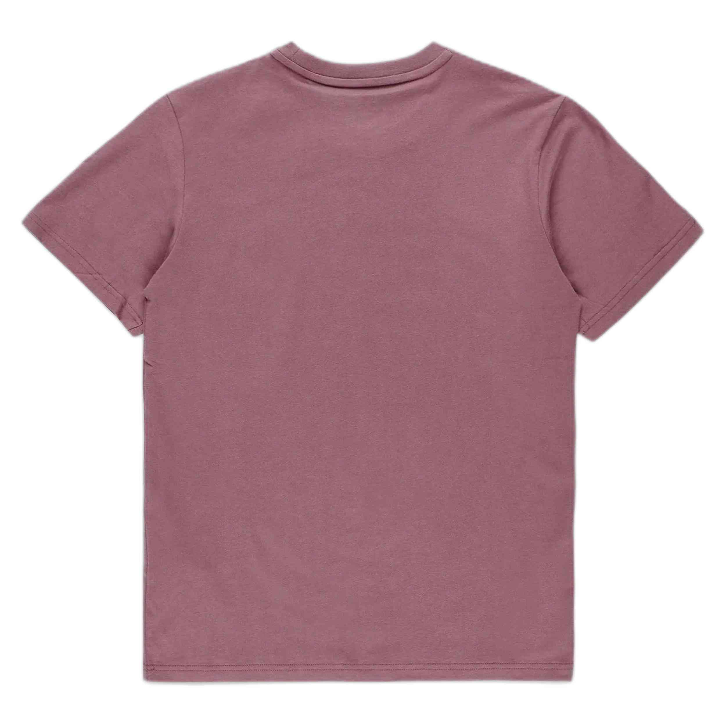 Camiseta De Manga Corta Converse Embroidered Star Chevron