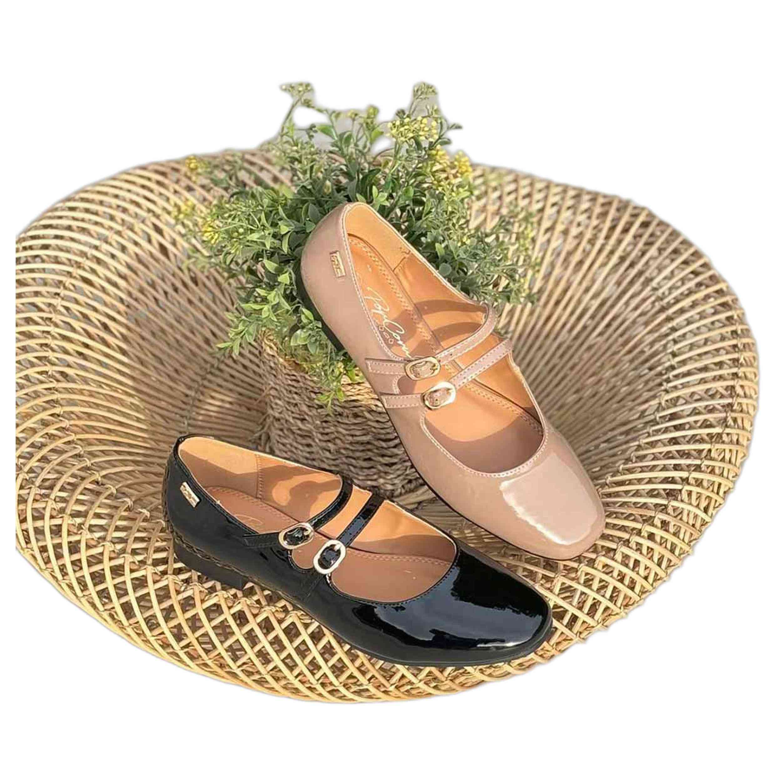 Zapatos Popcorn Md3012