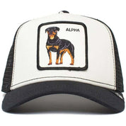 Gorra Goorin Bros Alpha Dog