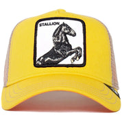 Gorra Goorin Bros The Stallion