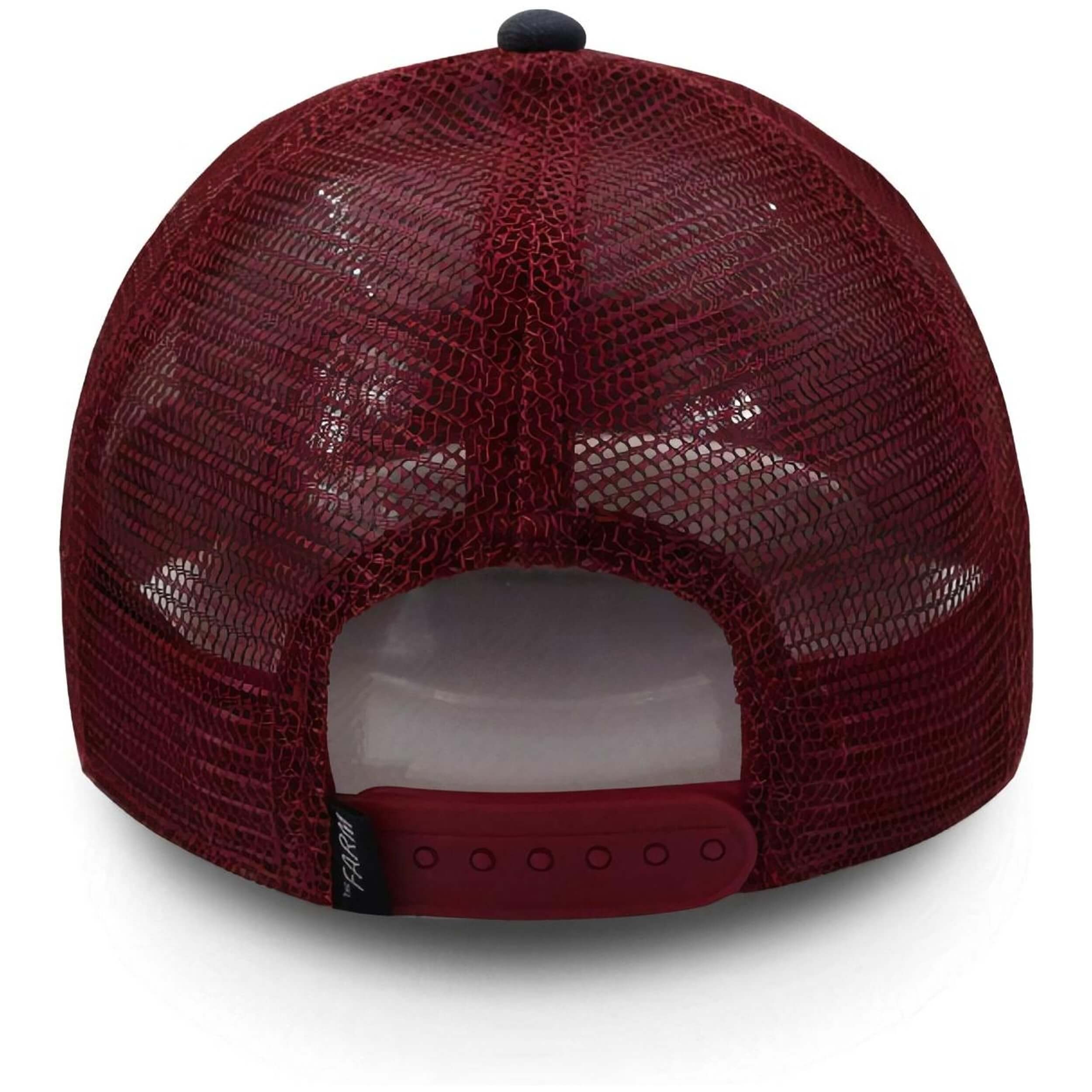 Gorra Goorin Bros The Rainbow Cock