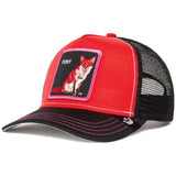 Gorra Goorin Bros Fox Trip