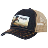 Gorra Goorin Bros