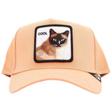 Gorra Goorin Bros Cool Cat