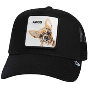 Gorra Goorin Bros The Amigo