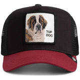 Gorra Goorin Bros 101-1788Voi18