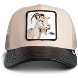 Gorra Fox Goorin Bros