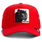 Gorra Goorin Bros 101-2510Rush01