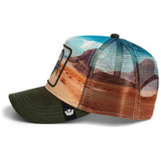 Imagen del producto con referencia 101-2695PAL01