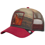 Gorra Goorin Bros