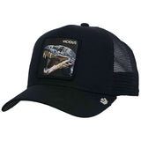 Gorra Goorin Bros