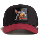 Gorra Goorin Bros Beware