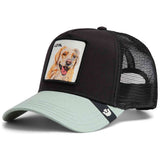 Gorra Goorin Bros