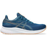 Zapatillas Asics Patriot 13