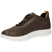 Zapatillas Geox 10121-345104