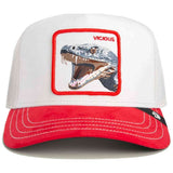 Gorra Goorin Bros 1012332Dig02