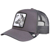Gorra Goorin Bros