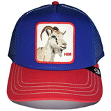 Gorra Goorin Bros The Goat