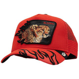 Gorra Goorin Bros