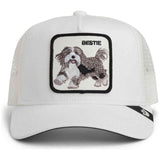 Gorra Goorin Bros