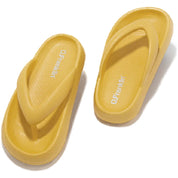 Chanclas D.Franklin 10147-142097