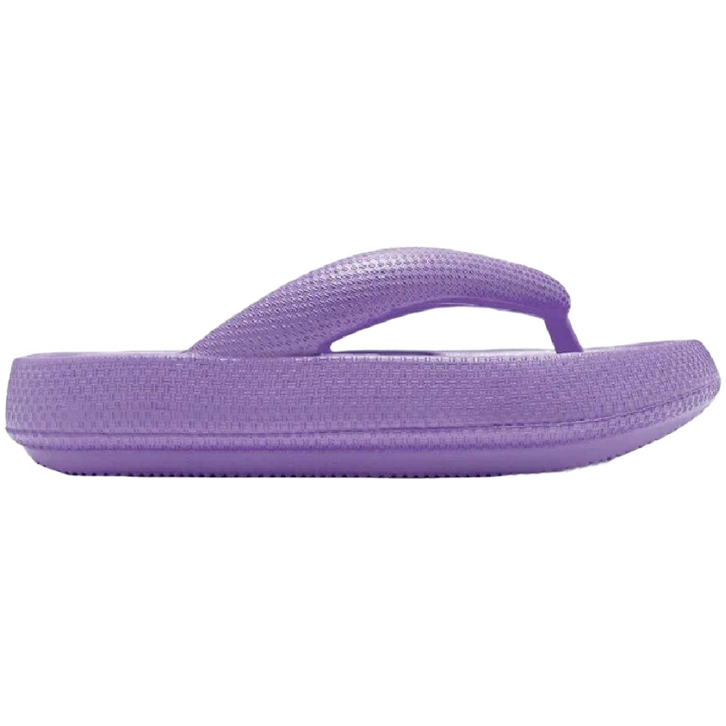 Chanclas D.Franklin 10147-523889