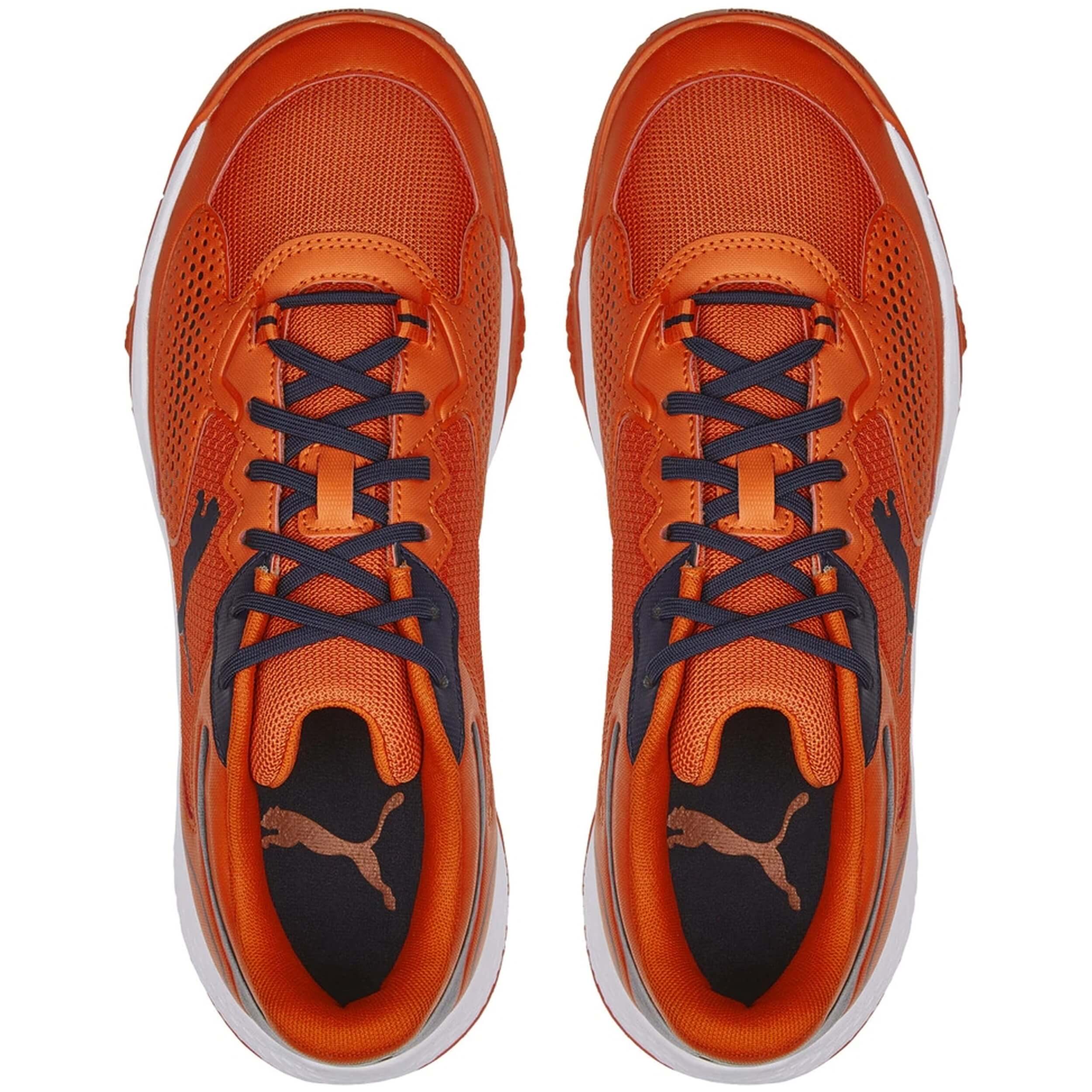 Zapatillas Puma 106948-01