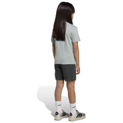 Imagen del producto con referencia 113-KD6004