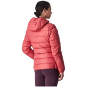 Chaqueta Champion Polyfilled