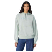 Sudadera Con Capucha Champion 117785-Gs129