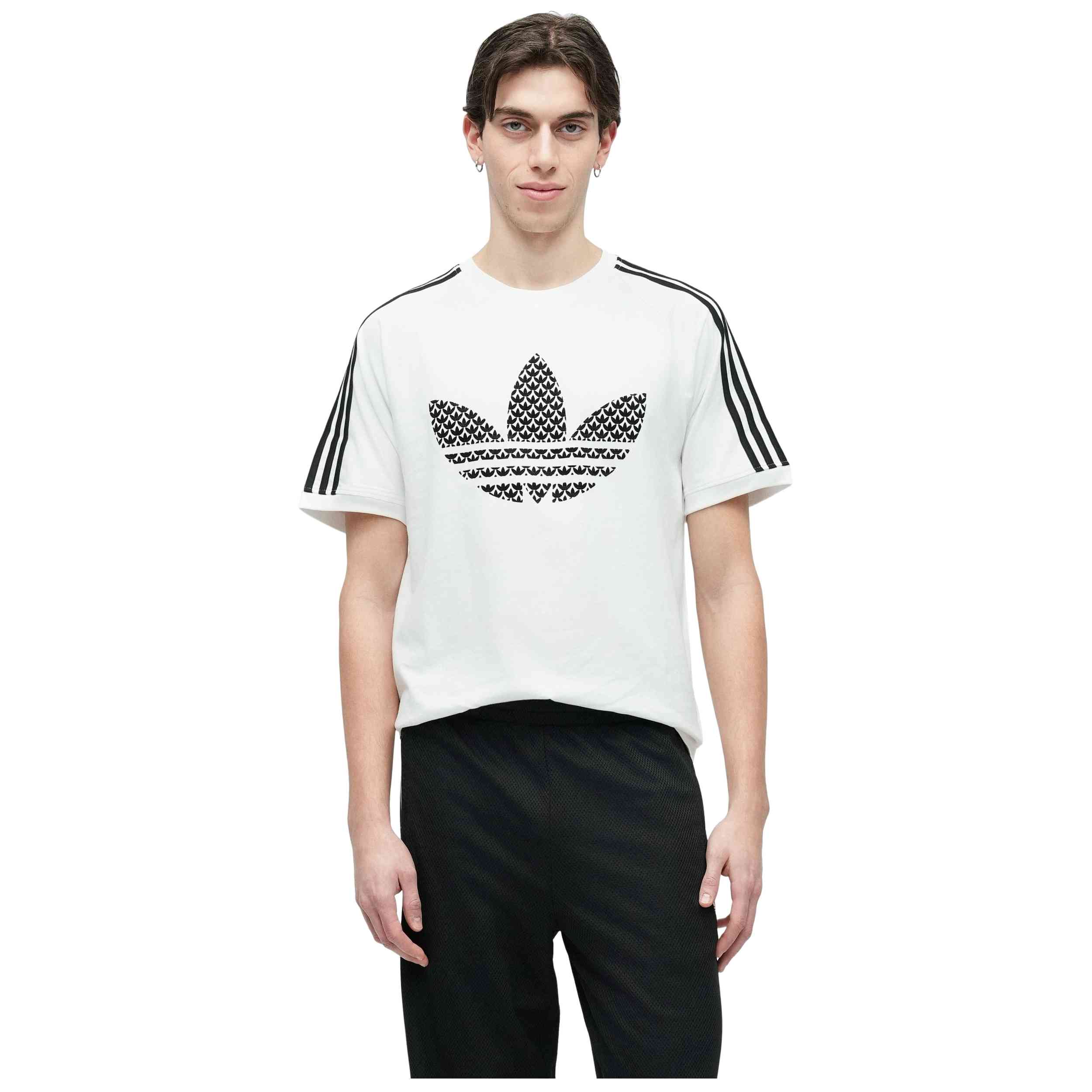 Imagen del producto con referencia 124-15458786607448