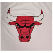 Camiseta De Manga Corta New Era Chicago Bulls