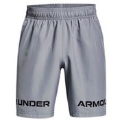 Pantalon Corto Under Armour Graphic Short-Gry