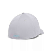 Gorra Under Armour Blitzing