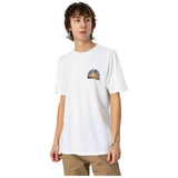 Camiseta De Manga Corta Brixton Fairview