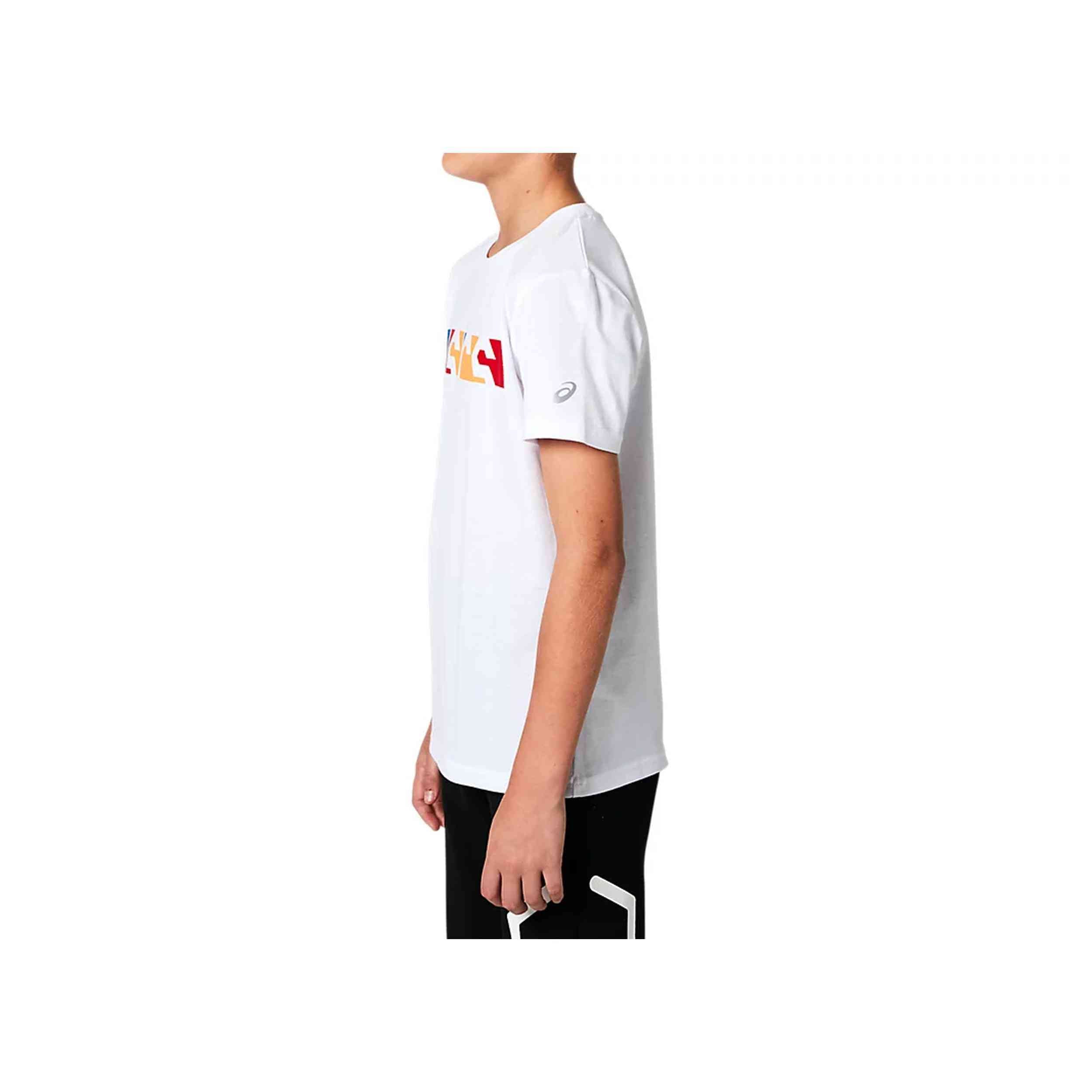Camiseta De Manga Corta Asics 2034A083-100