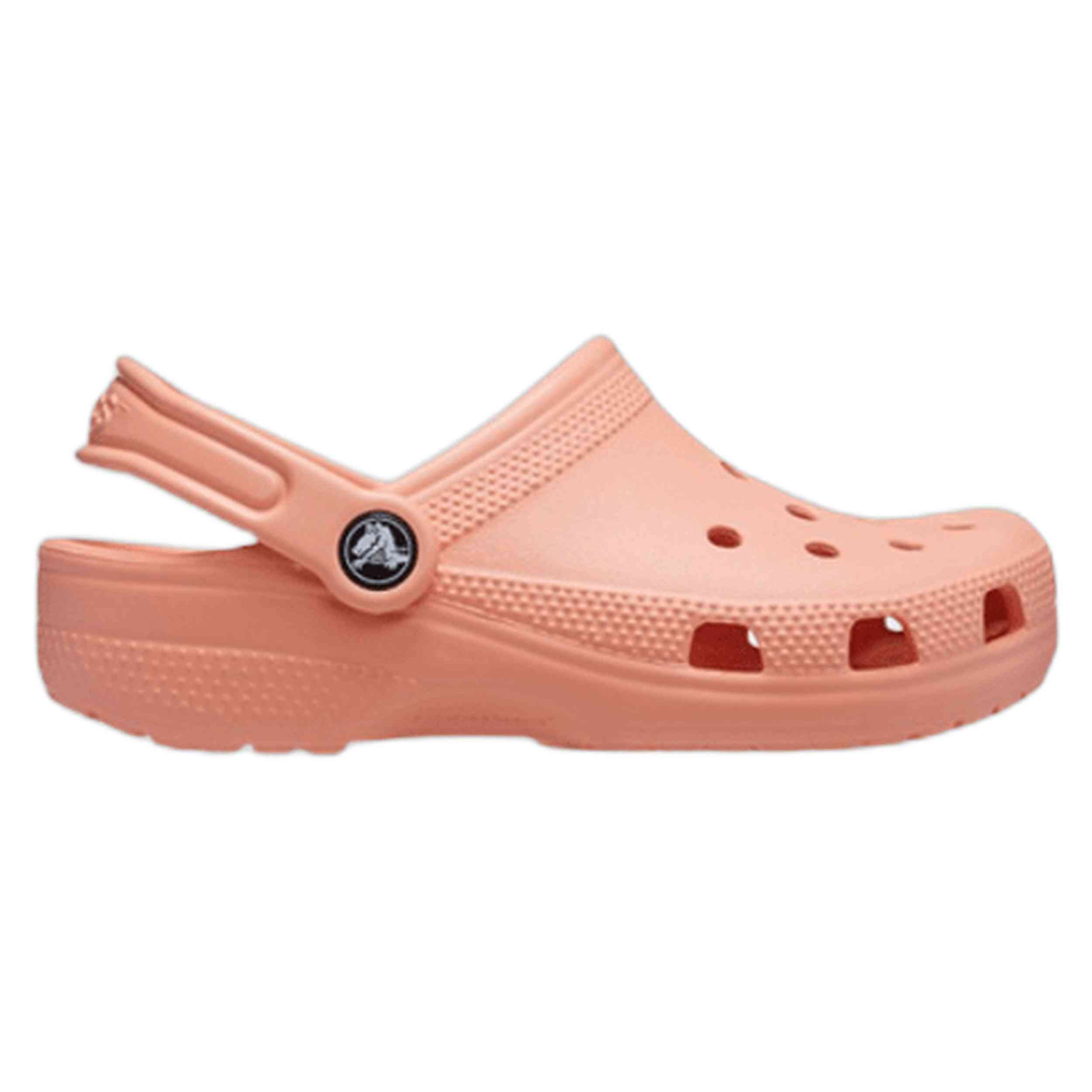 Zuecos Crocs Classic Clog
