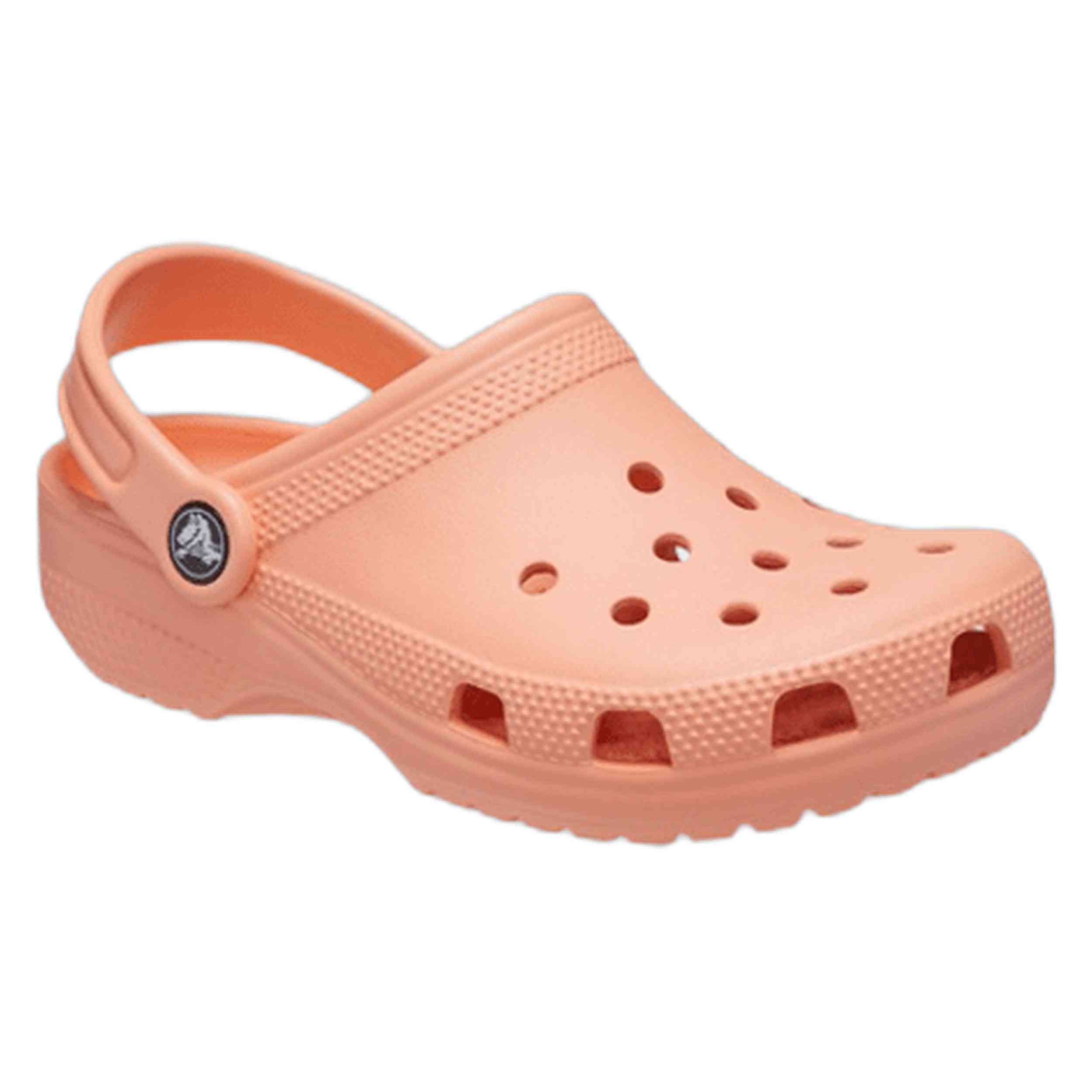Zuecos Crocs Classic Clog