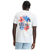 Imagen del producto con referencia 20717779