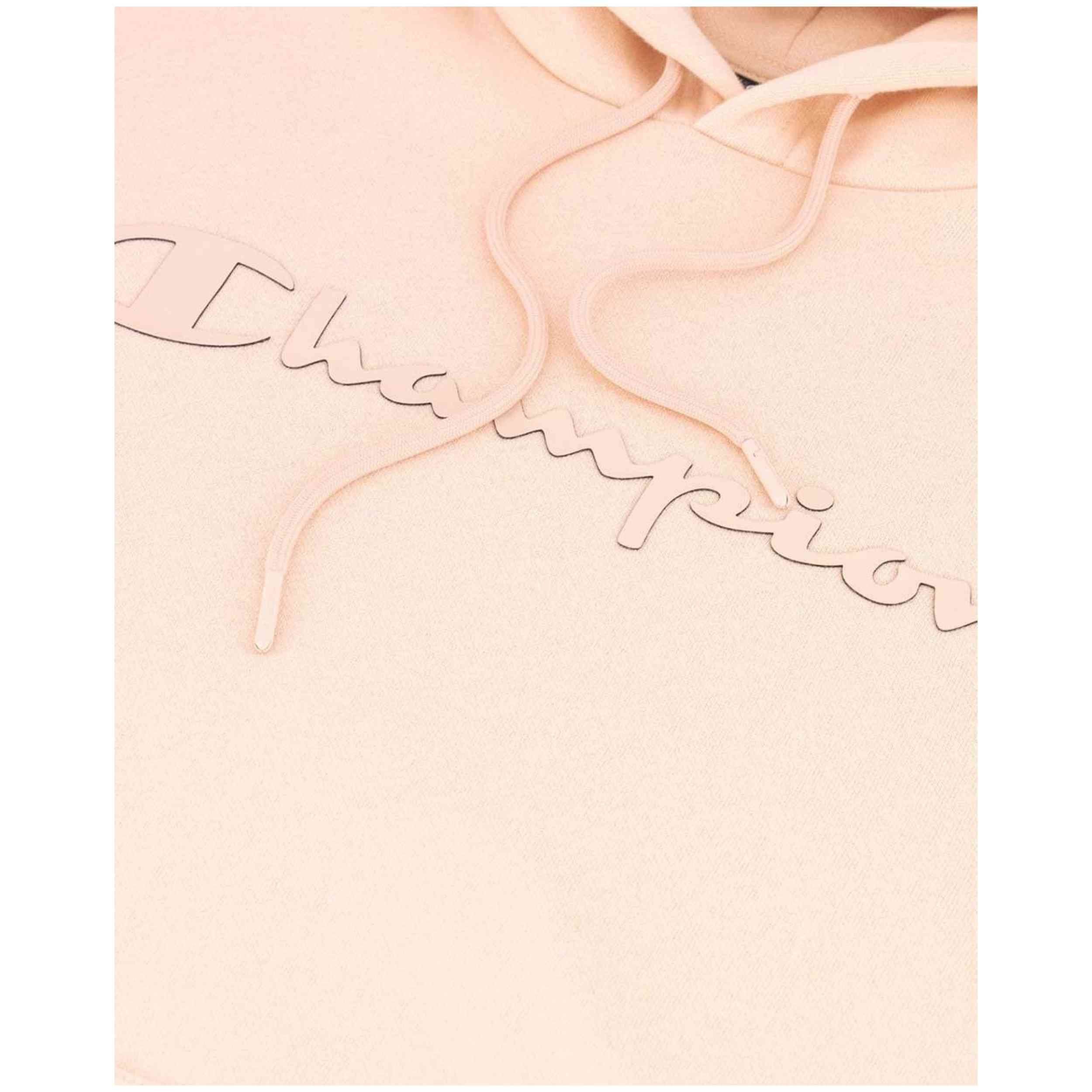  Champion 218282F22-Ps075