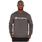 Champion sweatshirt