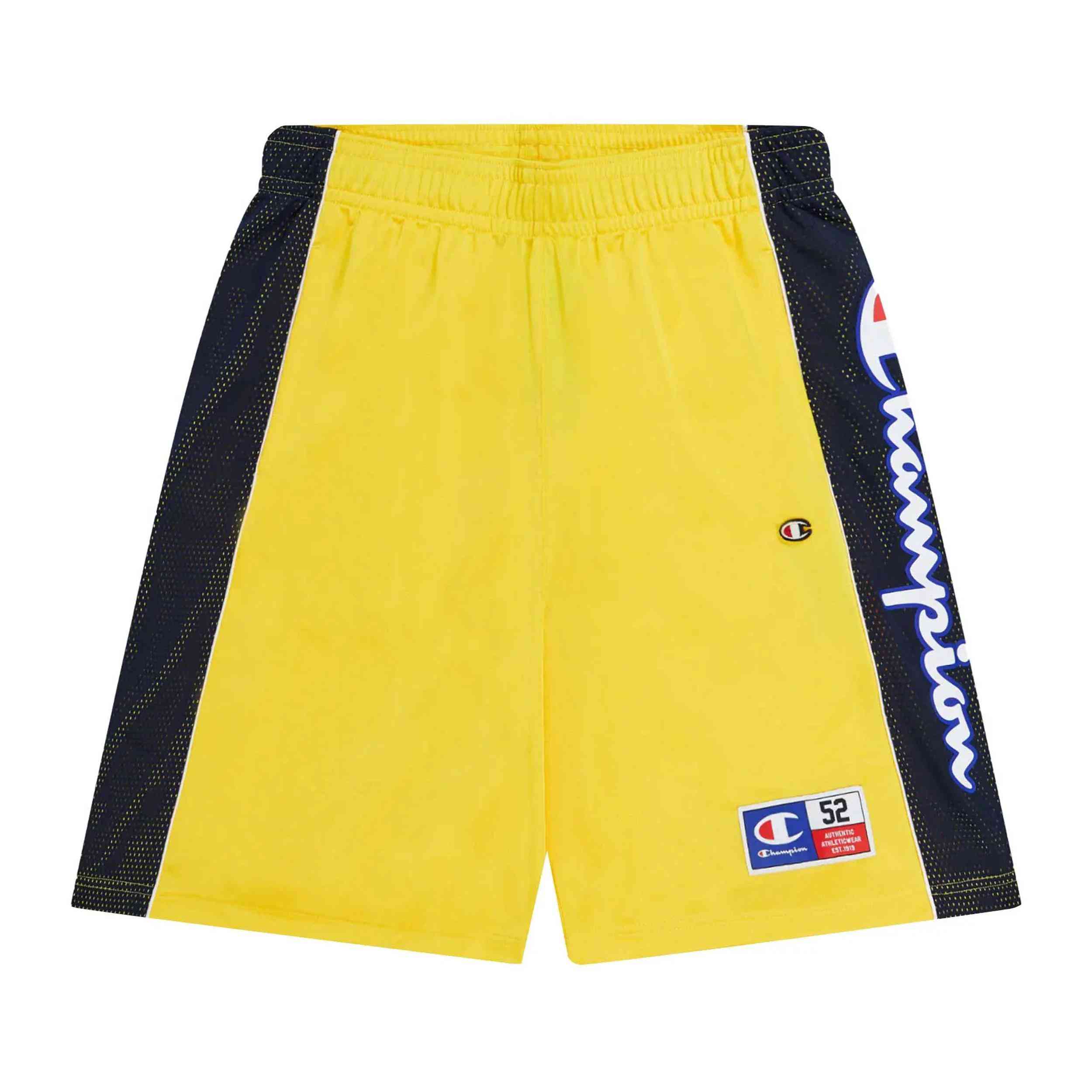  Champion 219746-Ys011