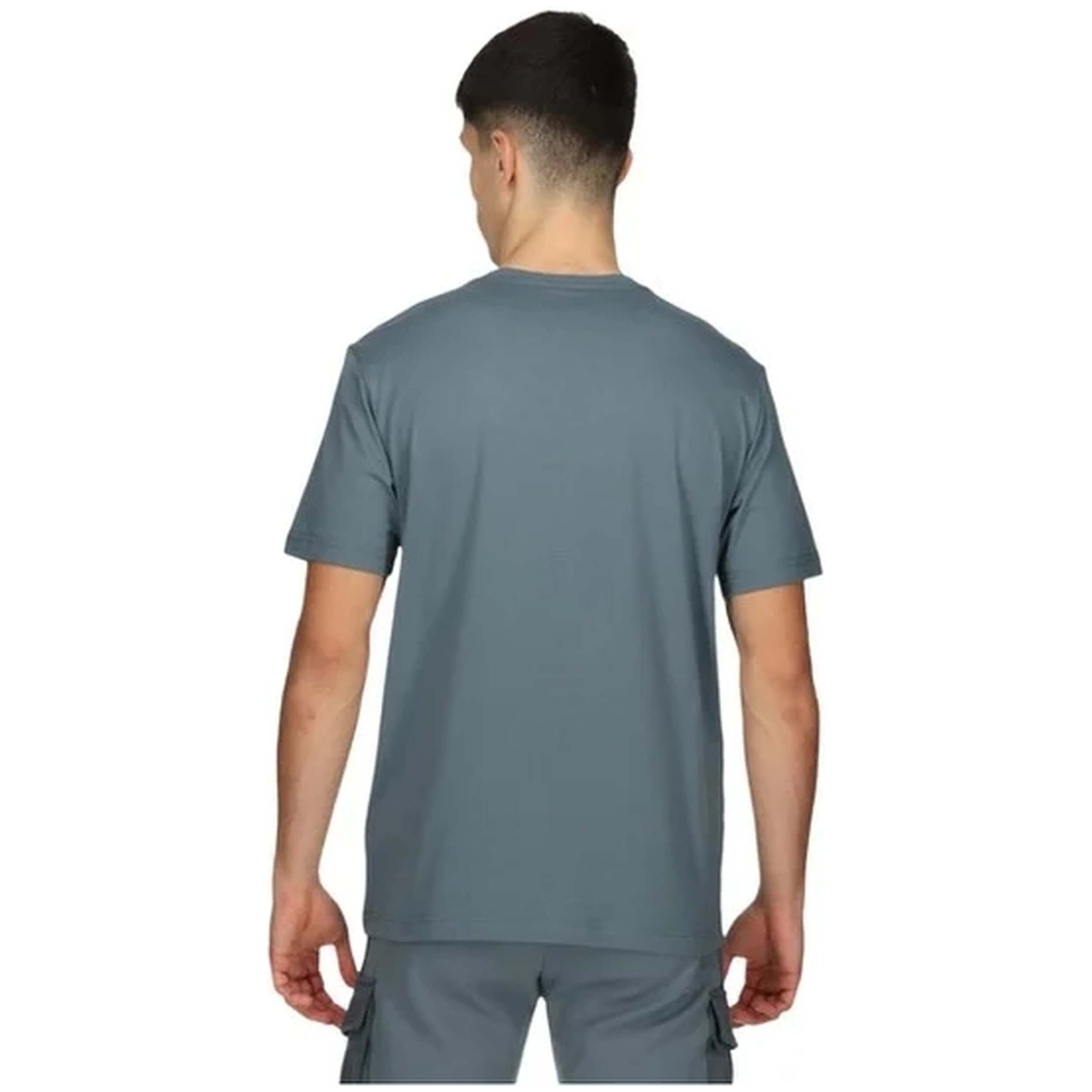  Champion 219775-Es017